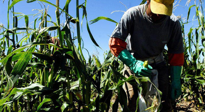 Una tasa municipal promueve la transición agroecológica en la localidad santafesina de Zavalla