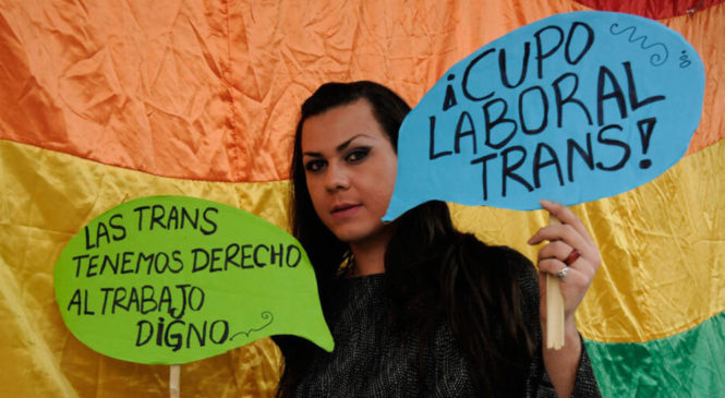 Qué dice la reglamentación de la ley de cupo laboral travesti trans
