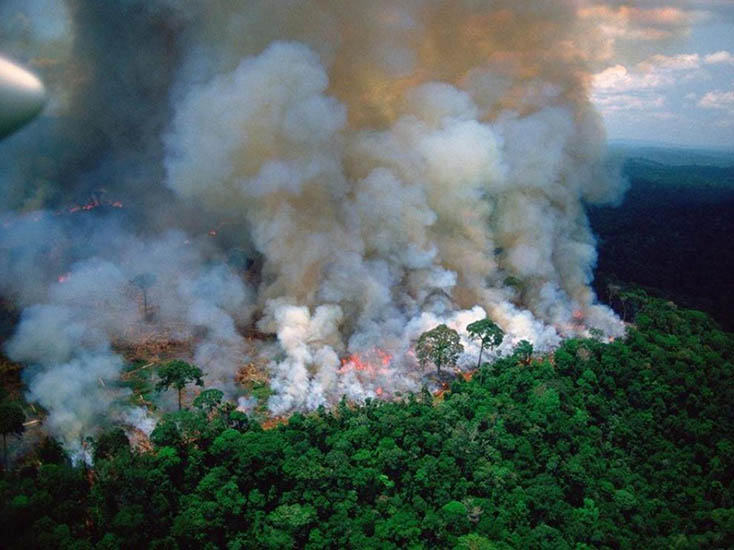 La COP 26 y América Latina: mal clima
