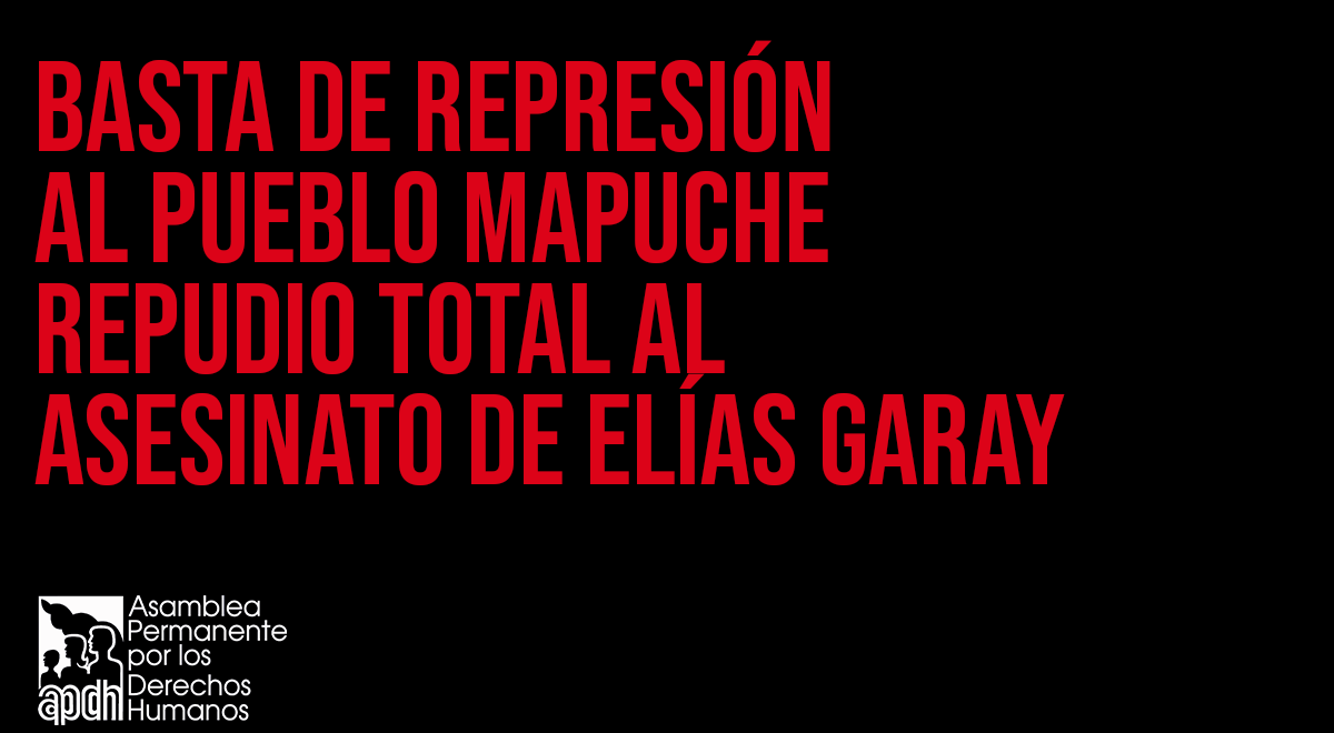 Desde la APDH manifestamos nuestro más enfático repudio al homicidio perpetrado en el territorio de la Comunidad Mapuche de Quemquemtreu