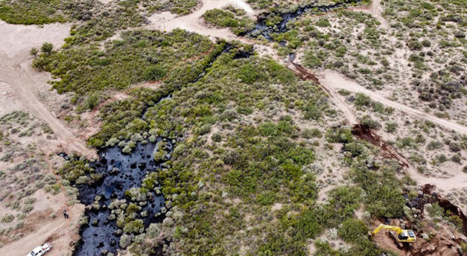 Derrame petrolero en Río Negro: un nuevo desastre ambiental del modelo extractivo
