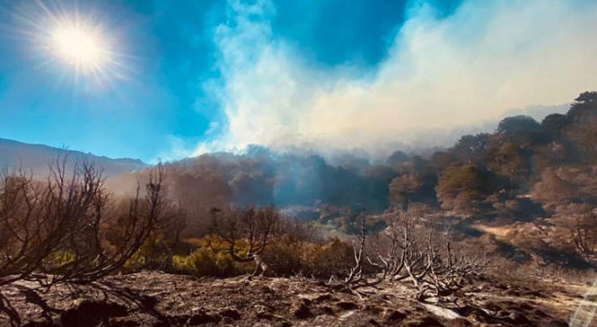 El incendio en Aluminé sigue fuera de control y ya destruyó unas 4 mil hectáreas
