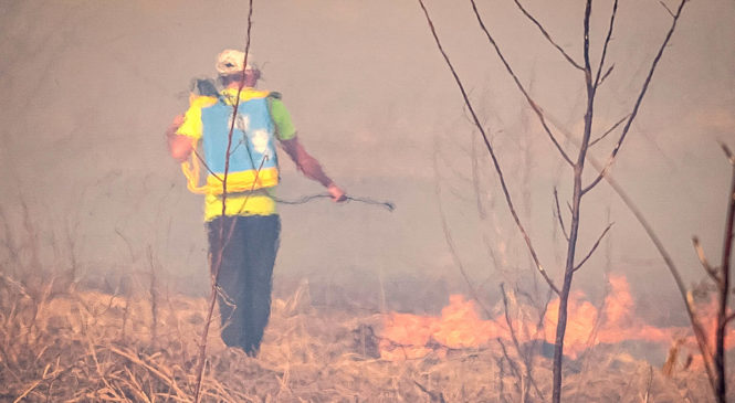 El negocio detrás de los incendios: humedales quemados que luego salen a la venta