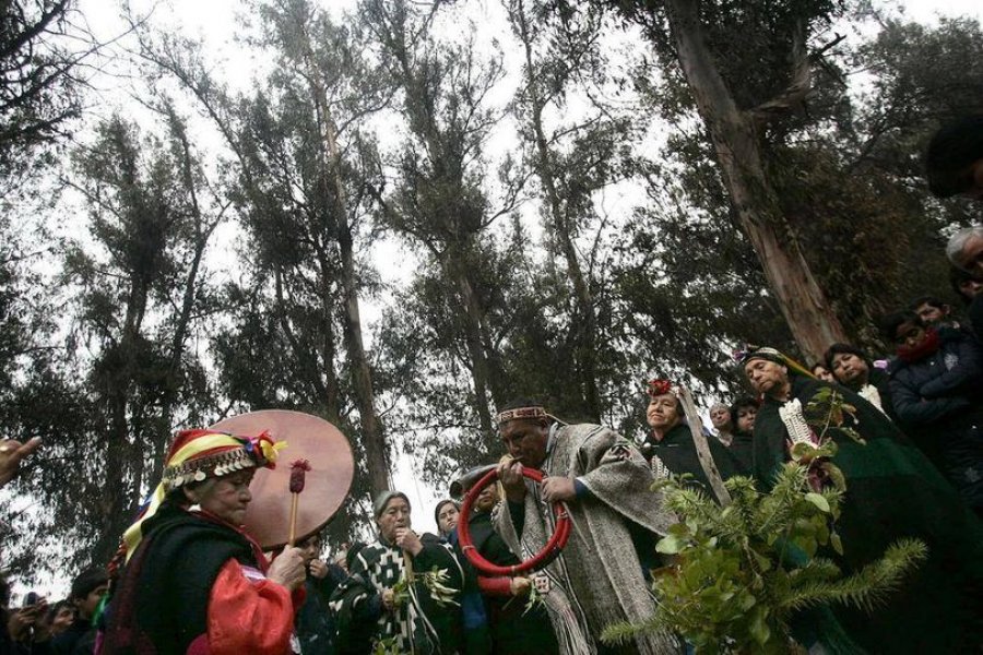 Comunidades mapuches preocupadas por preservar la biodiversidad del Volcán Lanín