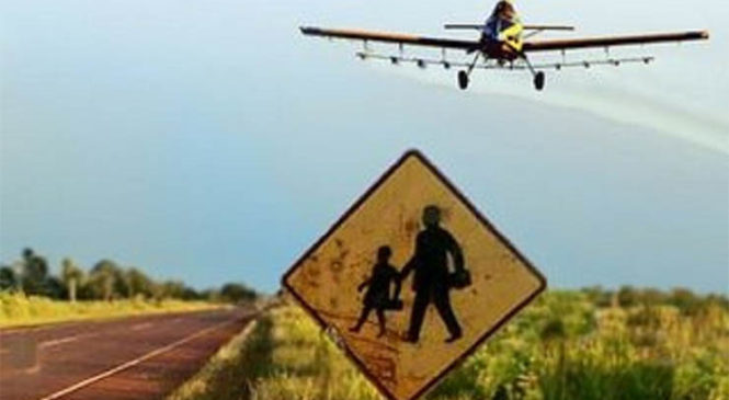 Fumigación a escuela rural: procesan a piloto e ingeniero que explotaba el campo