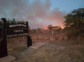 Corrientes: Incendios devoran grandes extensiones