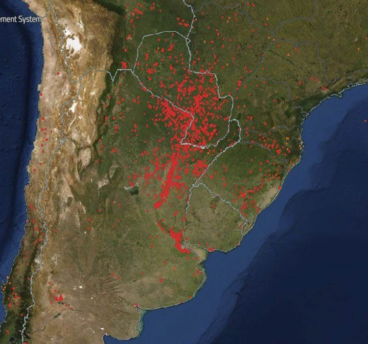 Incendios, sequías, ola de calor: ¡basta de ecocidio!