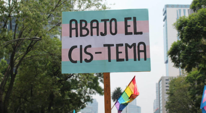 Despatologización de las identidades travestis trans y no binaries: cuánto avanzó en la Argentina