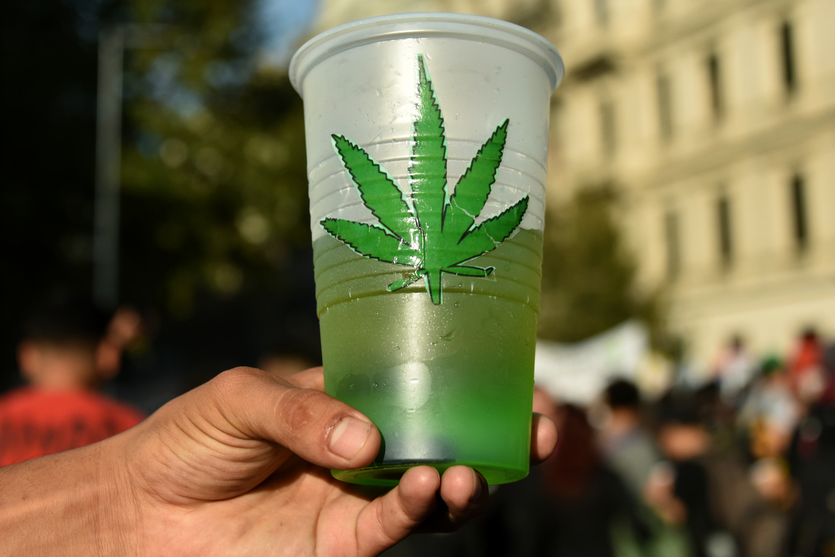 Marcha Mundial de la Marihuana