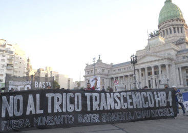 Marcha contra Monsanto exigió terminar con los agrotóxicos, el extractivismo y el trigo transgénico