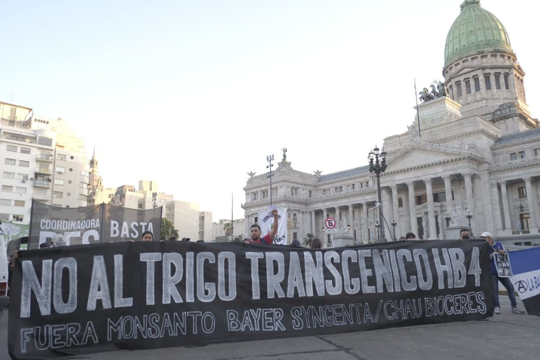 Marcha contra Monsanto exigió terminar con los agrotóxicos, el extractivismo y el trigo transgénico