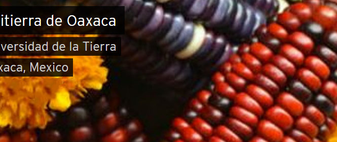 México Zapatista_Unitierra Oaxaca: Neoindigenismo versus Autonomía de los Pueblos