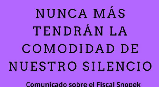 Denuncian por acoso laboral y violencia de género al Fiscal Federal Francisco Santiago Snopek