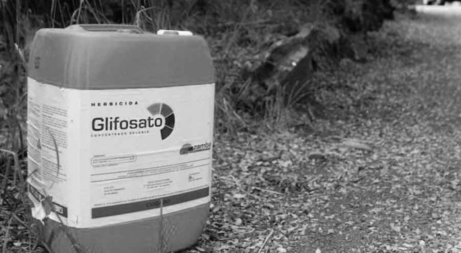 En Córdoba se aplican más de 100 millones de agrotóxicos al año