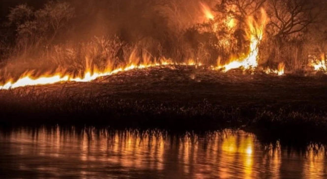 Río Paraná: Los incendios no van a parar, hay que pararlos