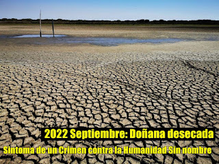 desaparición intencional de los humedales protegidos de Doñana