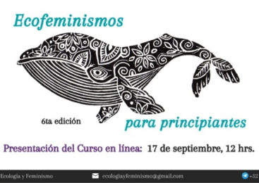 Invitación: Ecofeminismo para principiantes, 6a edición