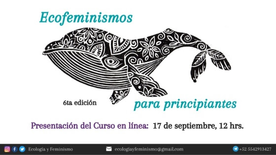 Invitación: Ecofeminismo para principiantes, 6a edición