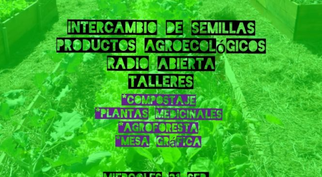 Festival Primavera: agroecología para el buen vivir en los barrios