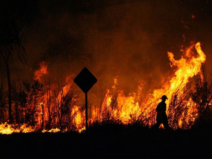 Incendios en Santa Fe: se llama ecocidio
