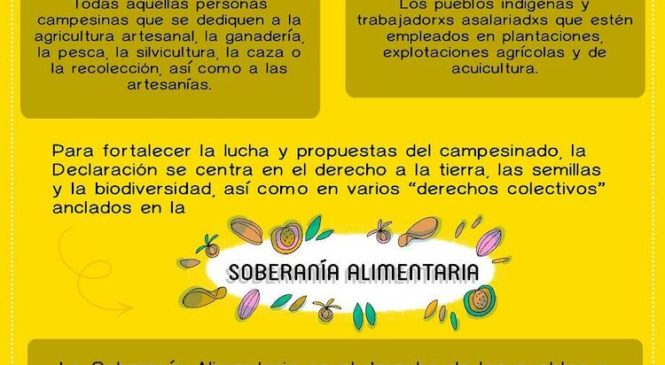 BiodiversidadLA: Declaración de los derechos campesinos y trabajadorxs rurales