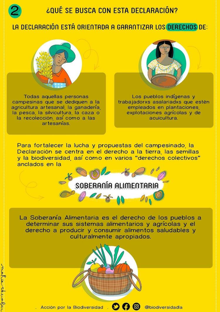 BiodiversidadLA: Declaración de los derechos campesinos y trabajadorxs rurales