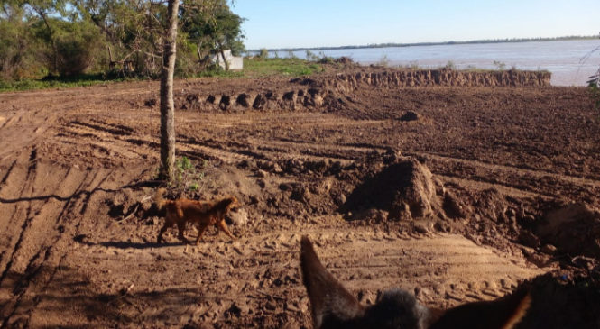 Humedales del Río Paraná: ¡No saltar de la sartén al fuego!