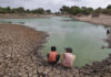 Infancia deforestada en el Chaco salteño