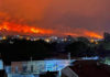Salta: preocupación por los incendios forestales en el NOA