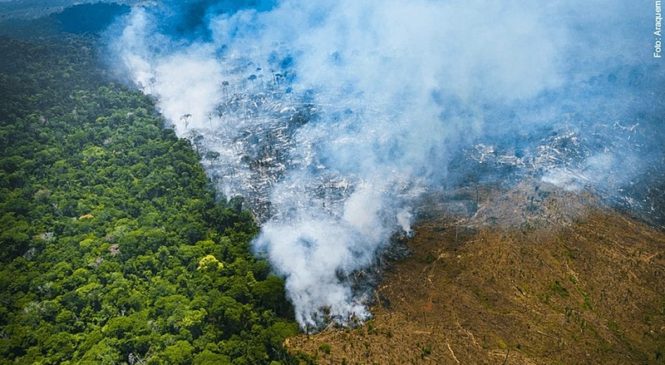 Brasil: deforestación acumulada en 2022 es la segunda peor en 15 años