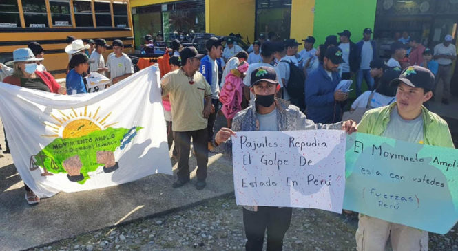 Movilizaciones en Honduras, Argentina, Bolivia, Italia y Francia en apoyo al pueblo peruano