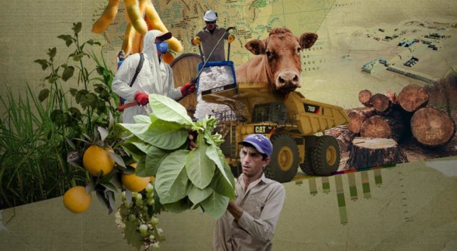 Salta: matriz colonial, agronegocio, desmontes y mucha tierra en pocas manos