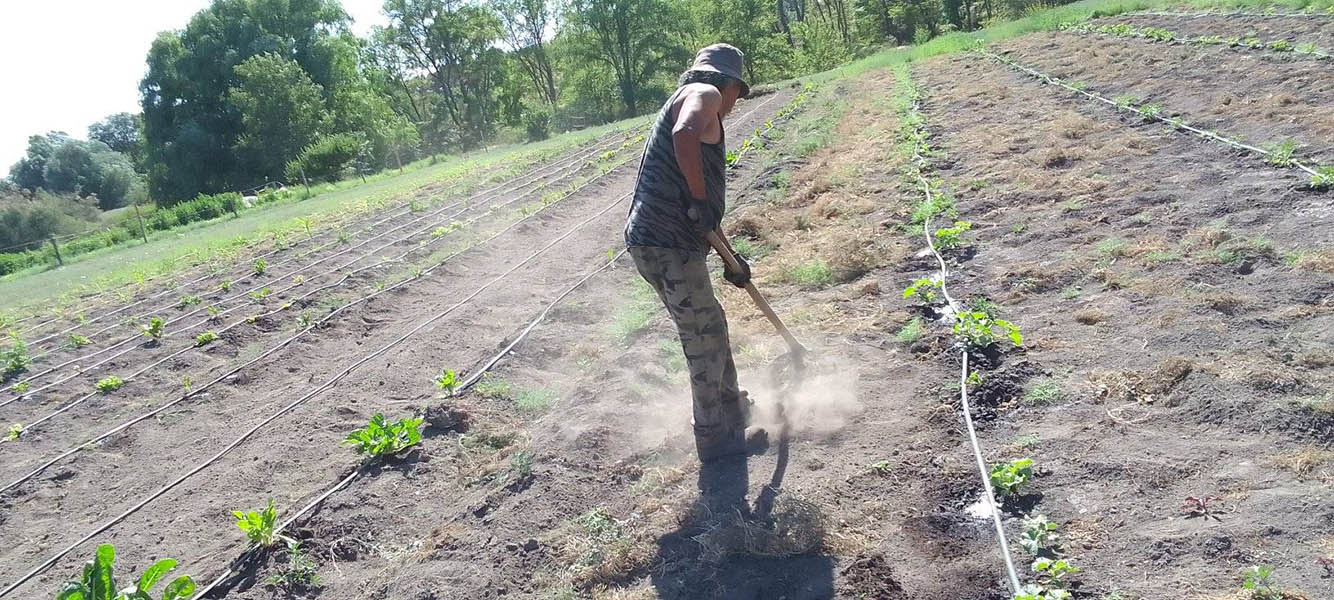 Mendoza: Productores agroecológicos en riesgo de perder sus tierras por decisión del gobierno provincial