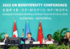 Cumbre sobre Biodiversidad: reconocen el protagonismo de los Pueblos Indígenas en su relación con la naturaleza