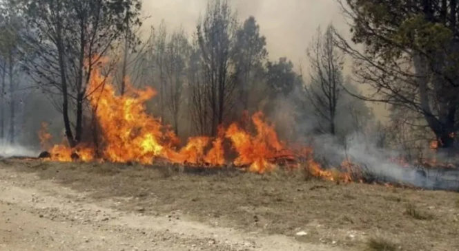 Comunidades Okloyas de Jujuy sufren sequía, incendios y explosivos olvidados por YPF