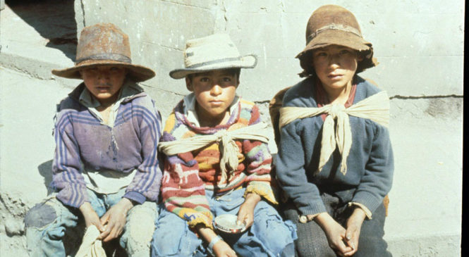 “El Perú es un invento del colonialismo español: proclamemos la República Popular Quechua-Aymara”