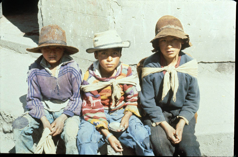 “El Perú es un invento del colonialismo español: proclamemos la República Popular Quechua-Aymara”