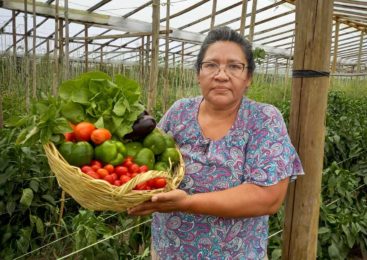 Agroecología en Florencio Varela: “La diversificación ayuda a sostener el sistema”