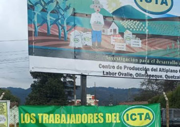 Guatemala. Huelga indefinida de trabajadores de ciencia y tecnología agrícola: La humanidad de maíz en lucha