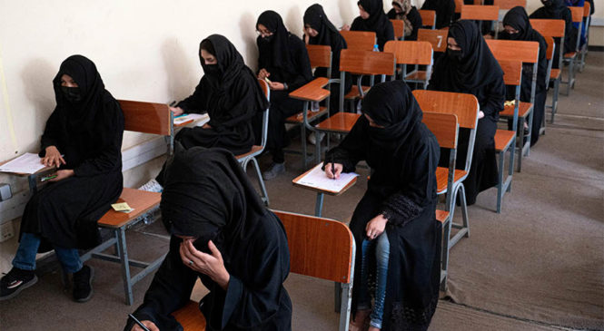Afganistán: talibanes prohíben a las mujeres rindan el examen de acceso a la universidad