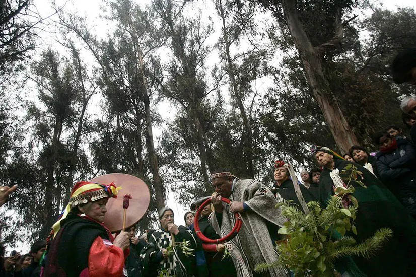 Comenzó la ceremonia espiritual que convoca a mapuches de todo el territorio a la base del volcán Lanín