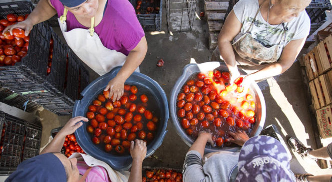 Alimentos: el control de precios no alcanza