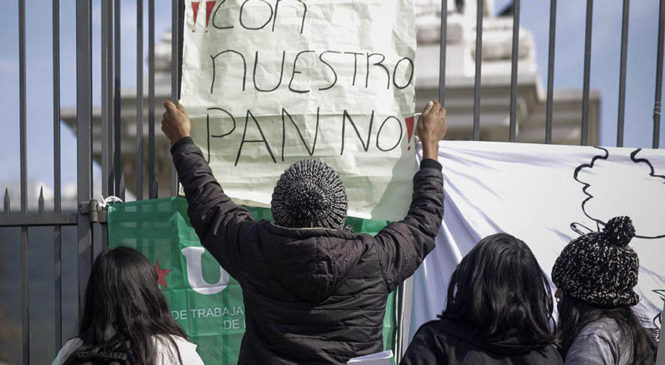 Pan transgénico en las mesas argentinas: molinos ya utilizan el trigo HB4
