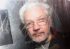 “Cuatro países se han coordinado para quemar a Assange en la hoguera sin que nadie proteste”