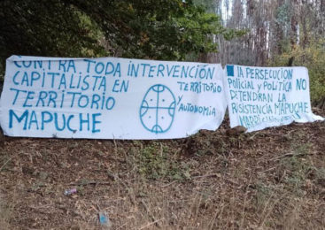 Wallmapu: Comunidades Mapuche rechazan extractivismo en río Cautín