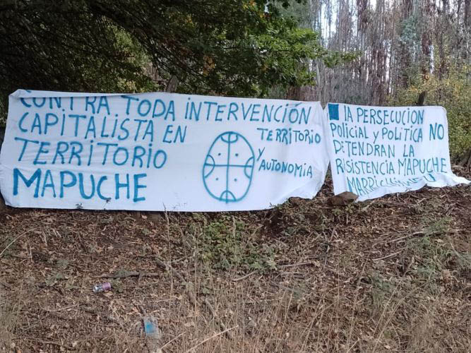 Wallmapu: Comunidades Mapuche rechazan extractivismo en río Cautín