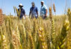 “La agroecología es una forma diferente de pensar la ruralidad, con vida en los campos”