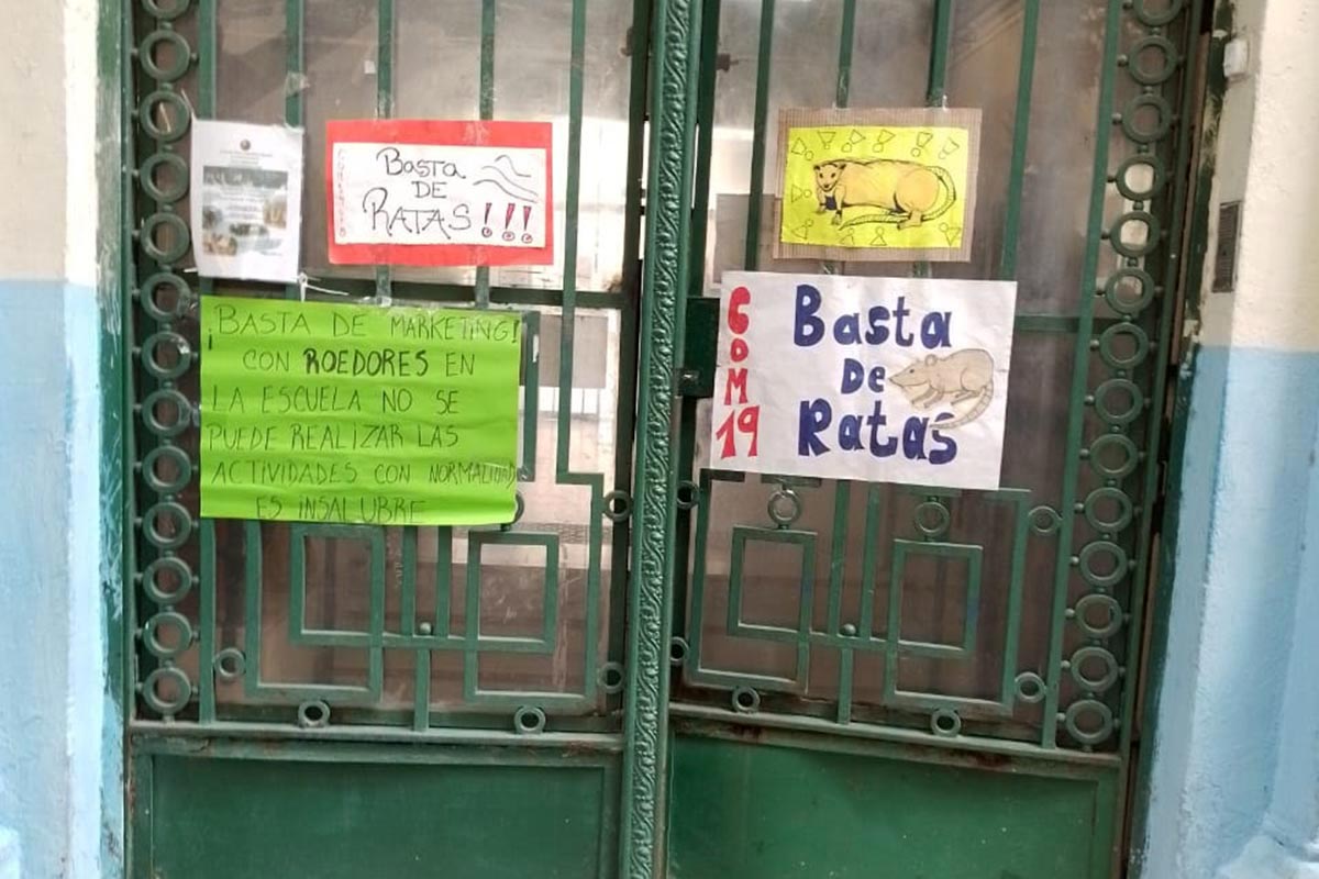 Crean un “mapa de la rata” en Ciudad: más de 20 escuelas denunciaron presencia de roedores