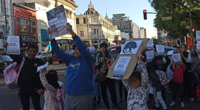 Ni Quinquela Martín se salva de las ratas: ya están presentes en 62 instituciones educativas de la Ciudad de Buenos Aires