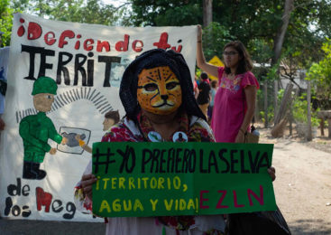 México: Caravana El Sur Resiste -entrevista-